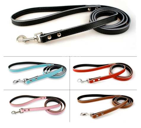 Leather Leash