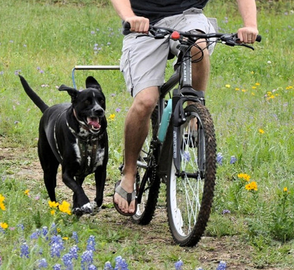 Hands-Free Dog Bike Leash