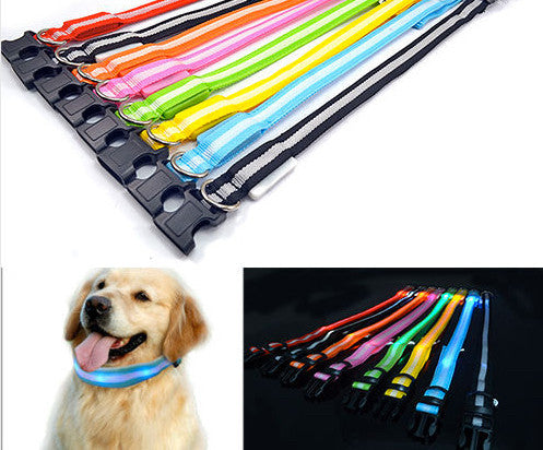 LED Nylon Night Safety Dog Collar - Battery Operated