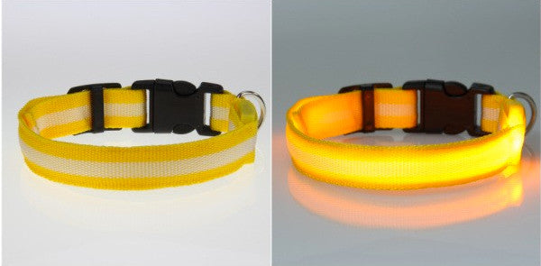 LED Nylon Night Safety Dog Collar - Battery Operated