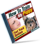 How To Train My Puppy DVD