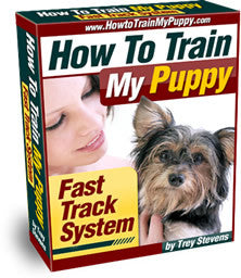 Puppy Training Fast Track System - First Time
