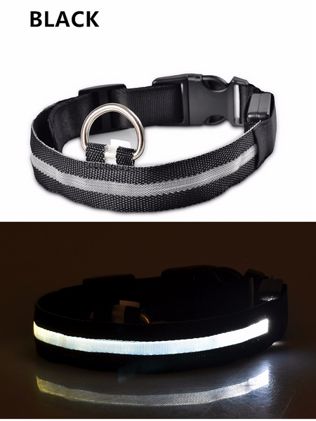 Compawions Doggy Beacon Collar™ - Limited Time - FREE Shipping