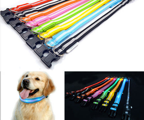 LED Nylon Night Safety Dog Collar - FREE - Only Pay Shipping!