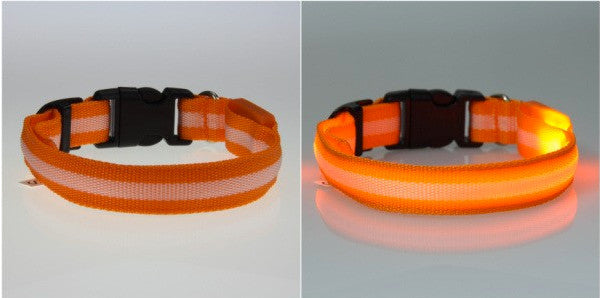 LED Nylon Night Safety Dog Collar - FREE - Only Pay Shipping!