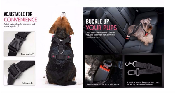 PupBodyGuard™ Seatbelt and Harness- FREE Shipping!