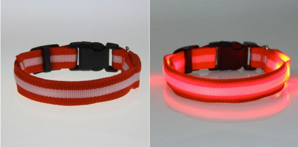 LED Nylon Night Safety Dog Collar - Battery Operated